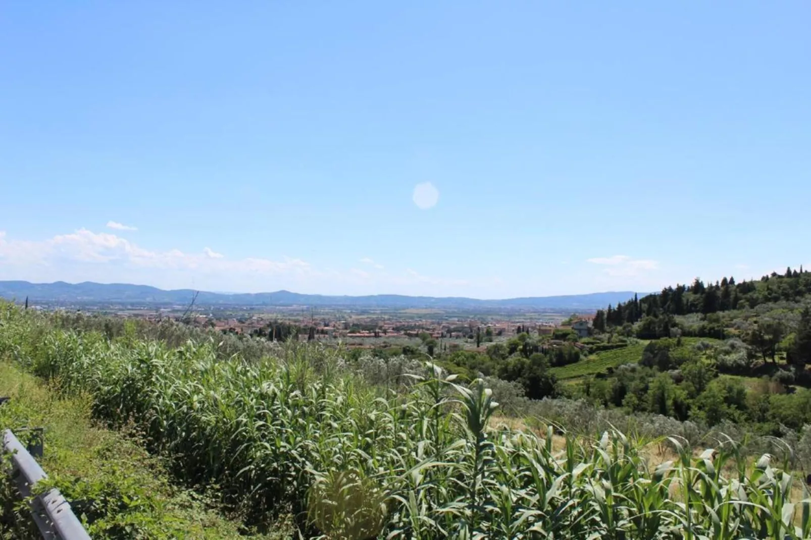 I Tini-Areas within 20km in summer