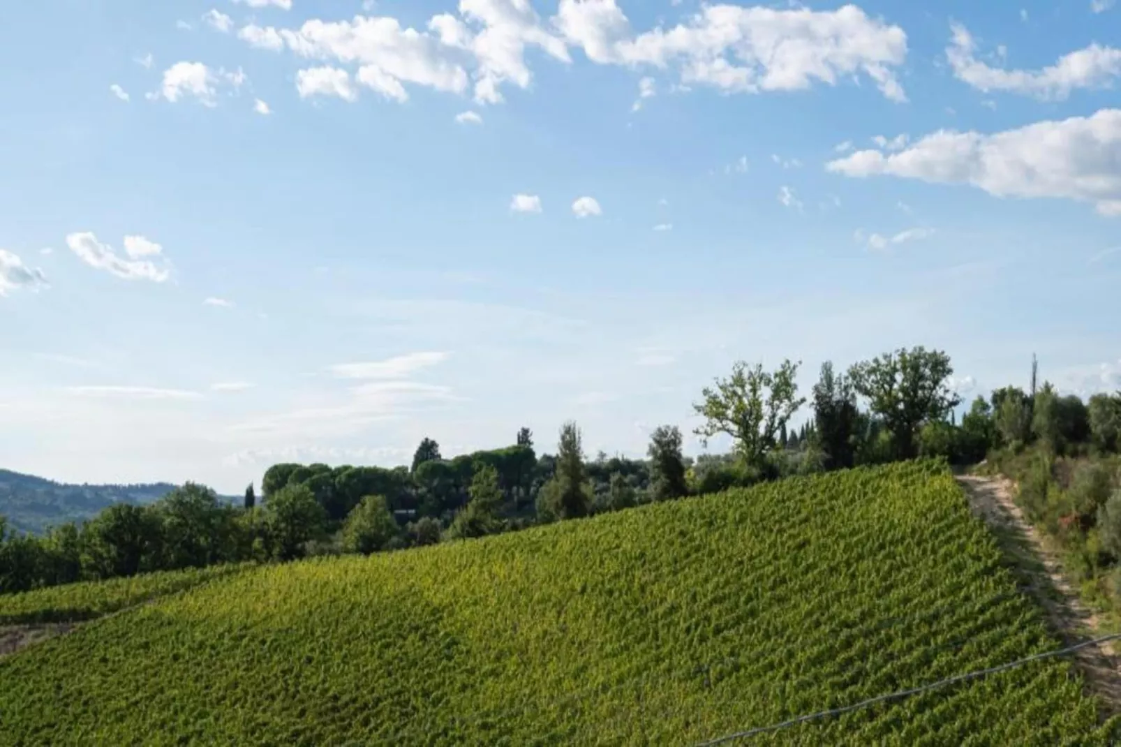 Casalini 2-Areas within 5km in summer