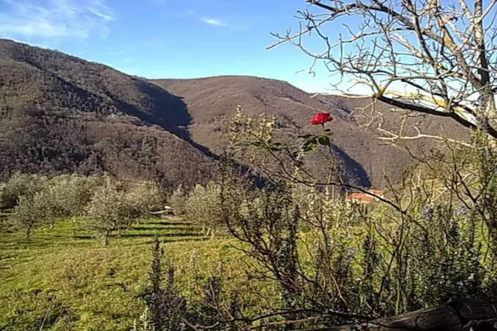 Il Ciliegio-Areas within 20km in summer