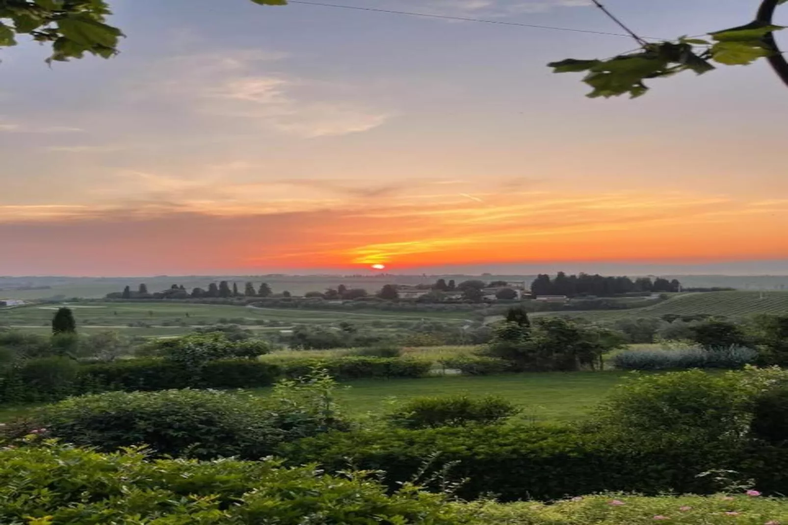 Leonardo-Areas within 5km in summer