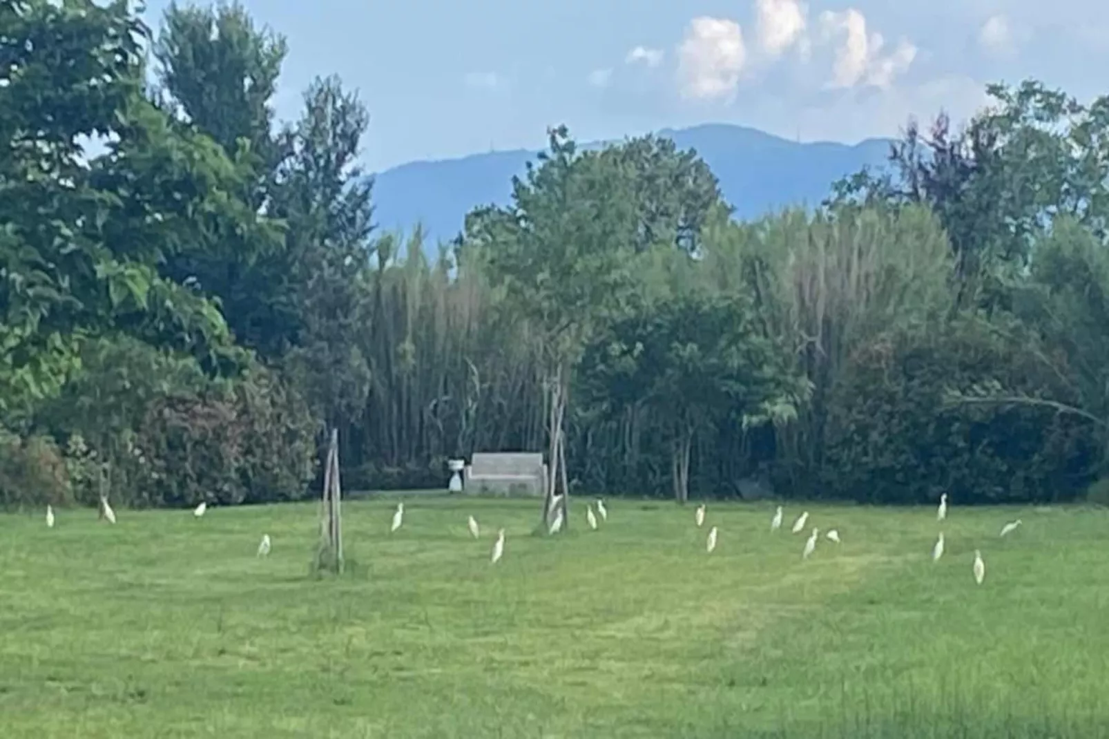 Saliceto Bilocale-Areas within 20km in summer