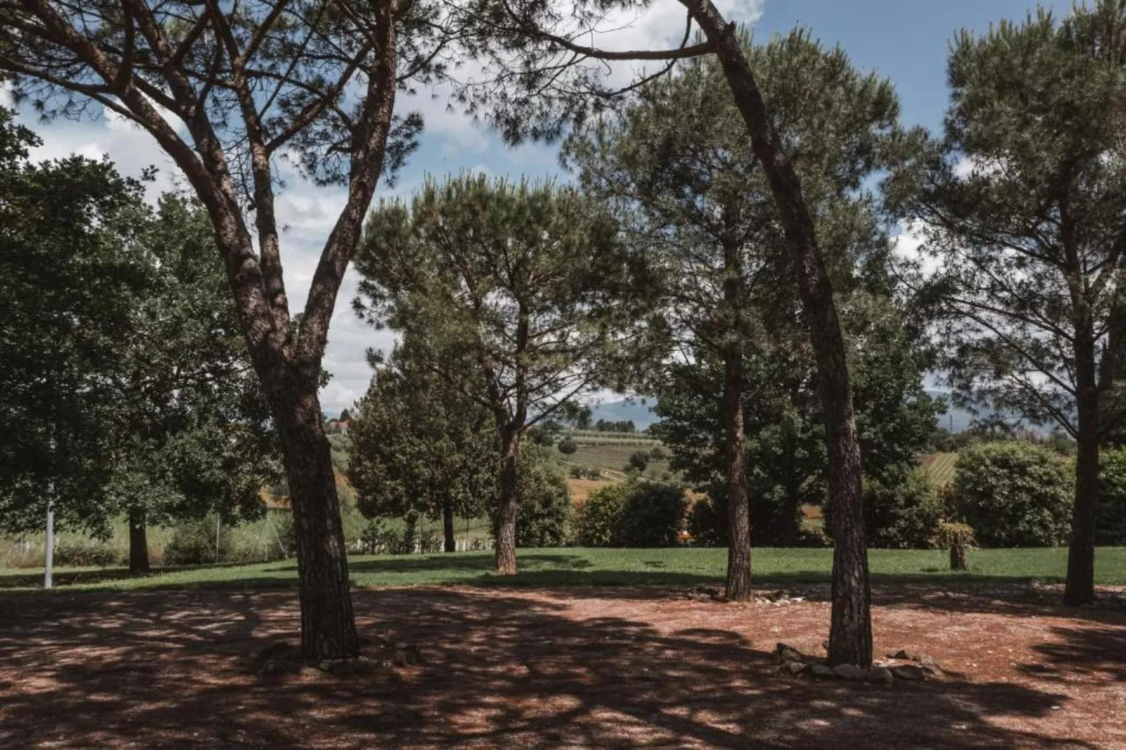 Castagno del Riccio-Areas within 5km in summer