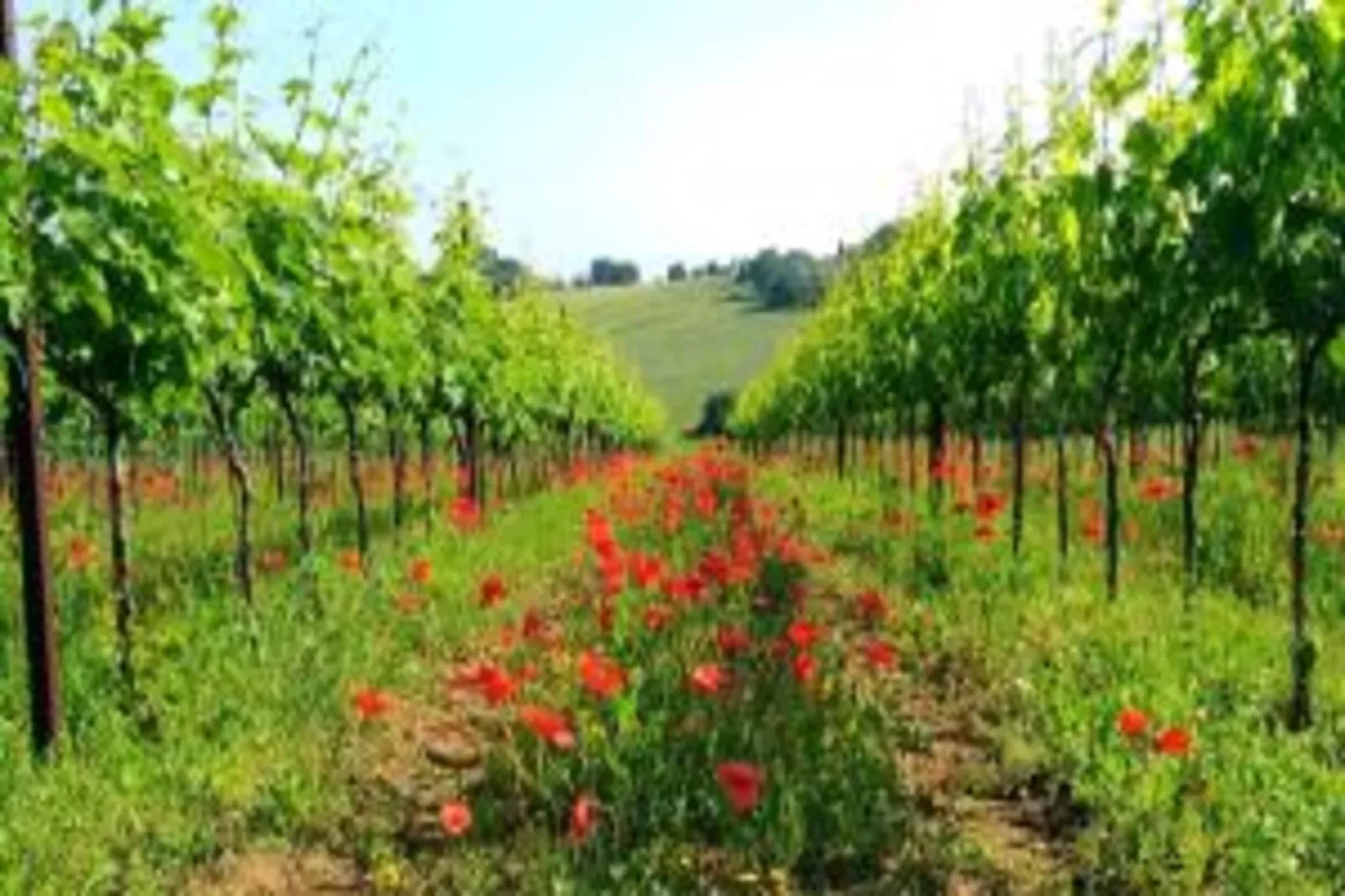 Casa Ilenia-Gebiete Sommer 20 km
