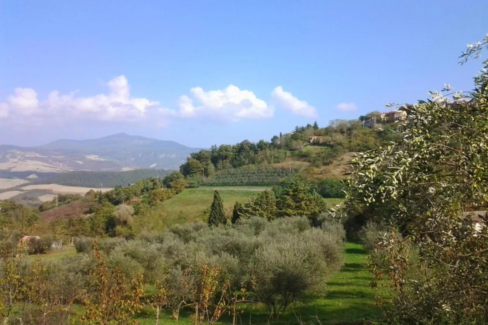 Armaiolo-Areas within 5km in summer