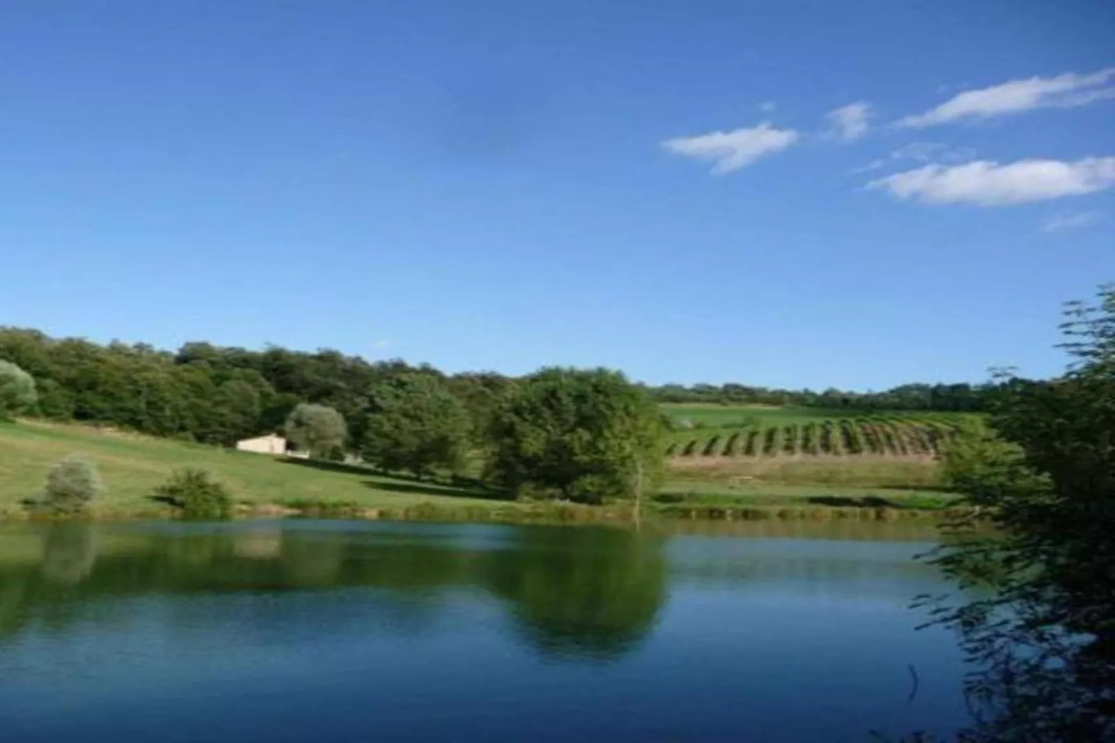 Appartamento Giotto-Areas within 20km in summer
