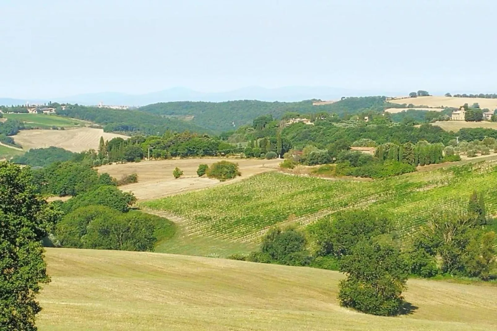 La Logetta-Areas within 5km in summer