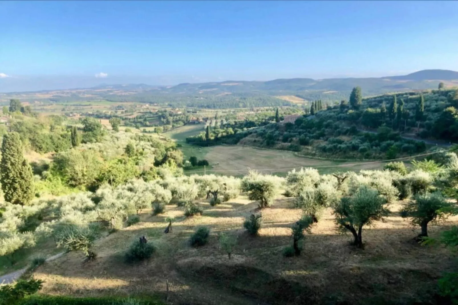Mandorlo-Areas within 20km in summer