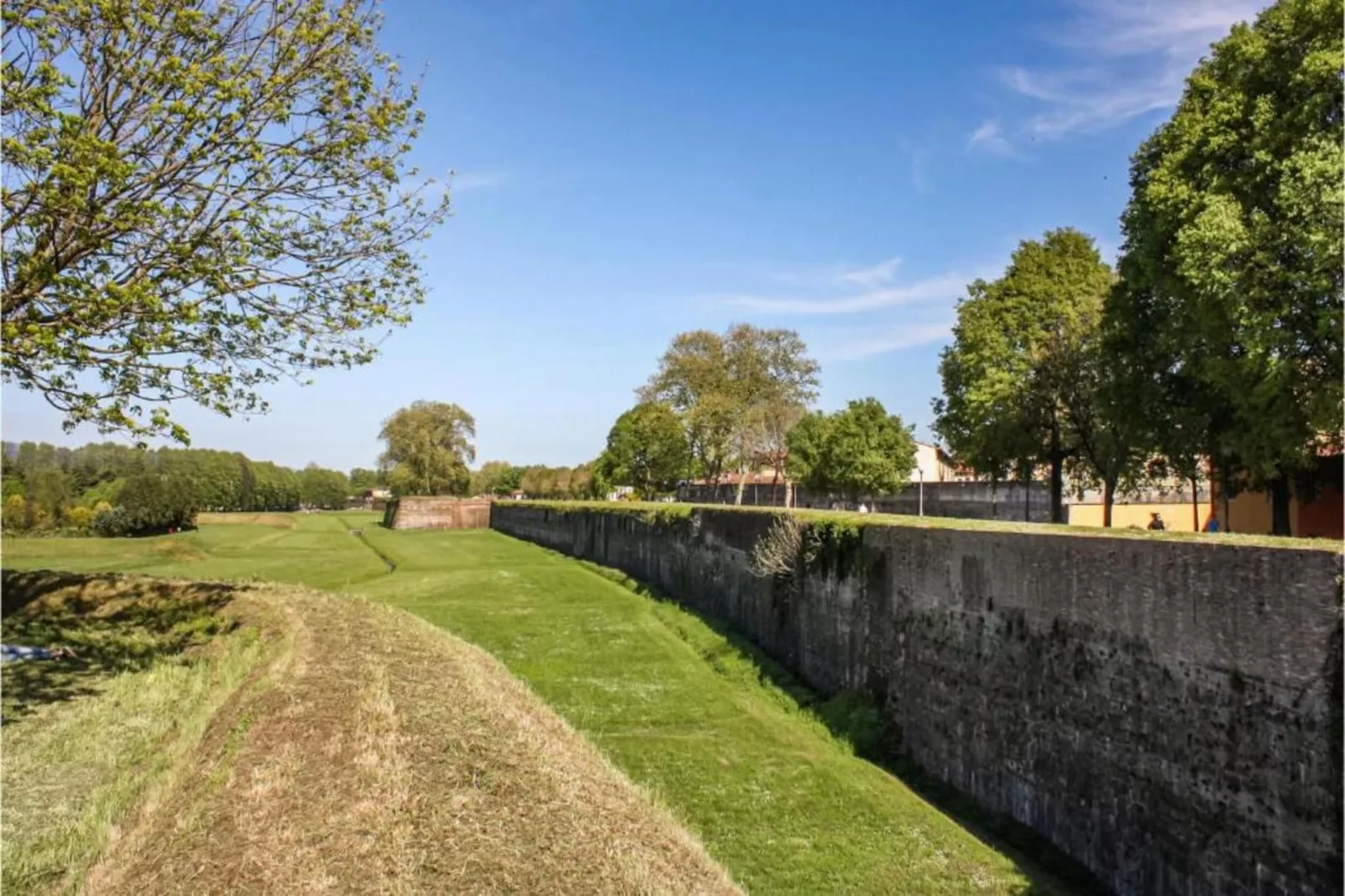 Cipressa-Areas within 20km in summer
