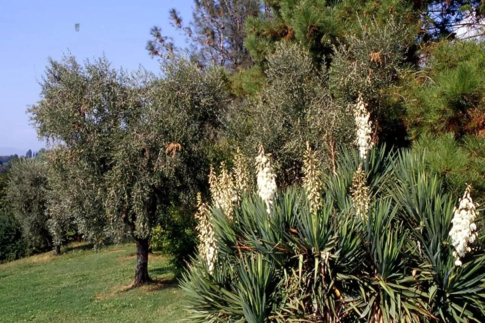 Collina Lagomare-Areas within 20km in summer
