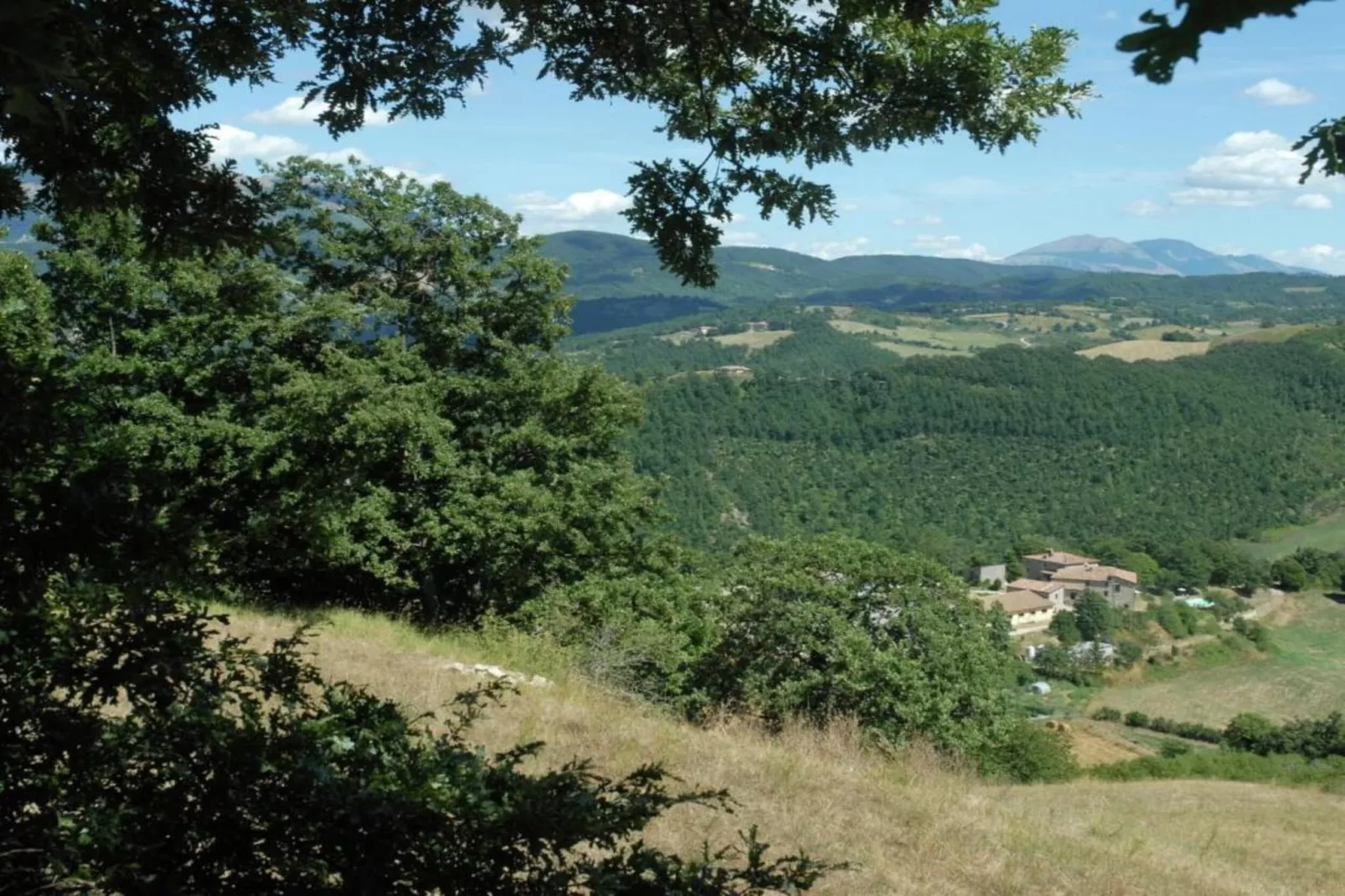 Cucciolo-Areas within 20km in summer