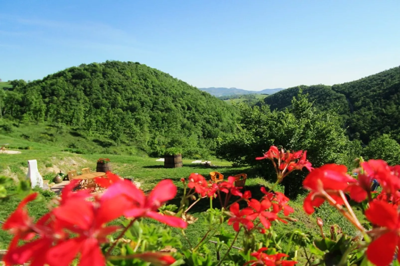 Aria-View in summer