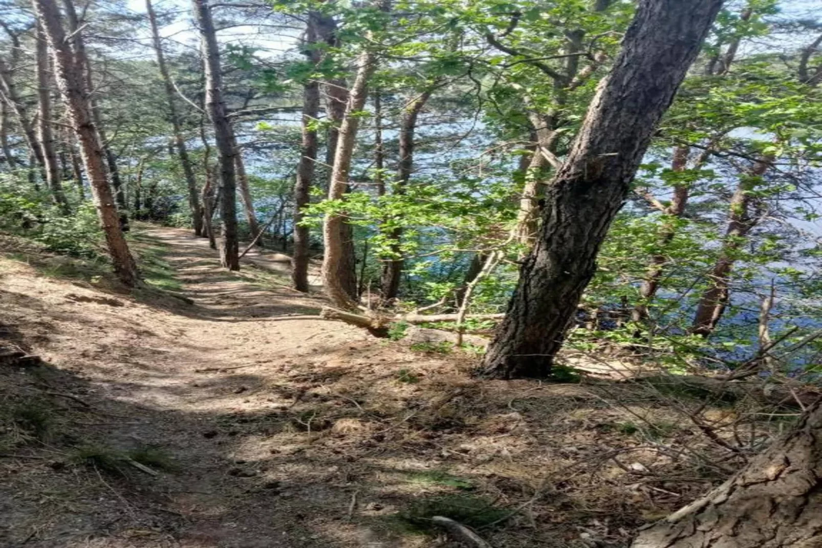 Tuinpad-Areas within 20km in summer