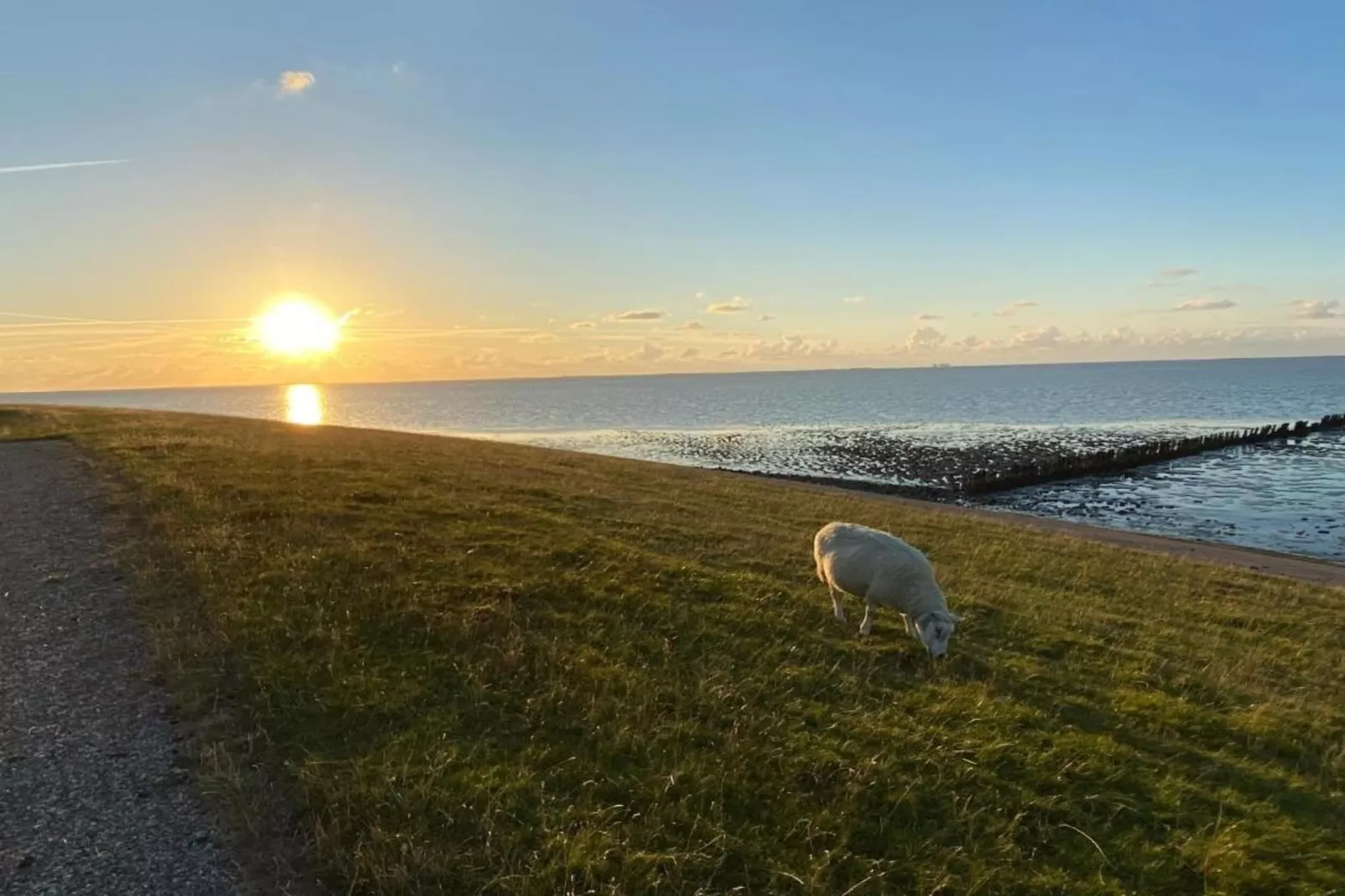 Luna-Gebiete Sommer 20 km