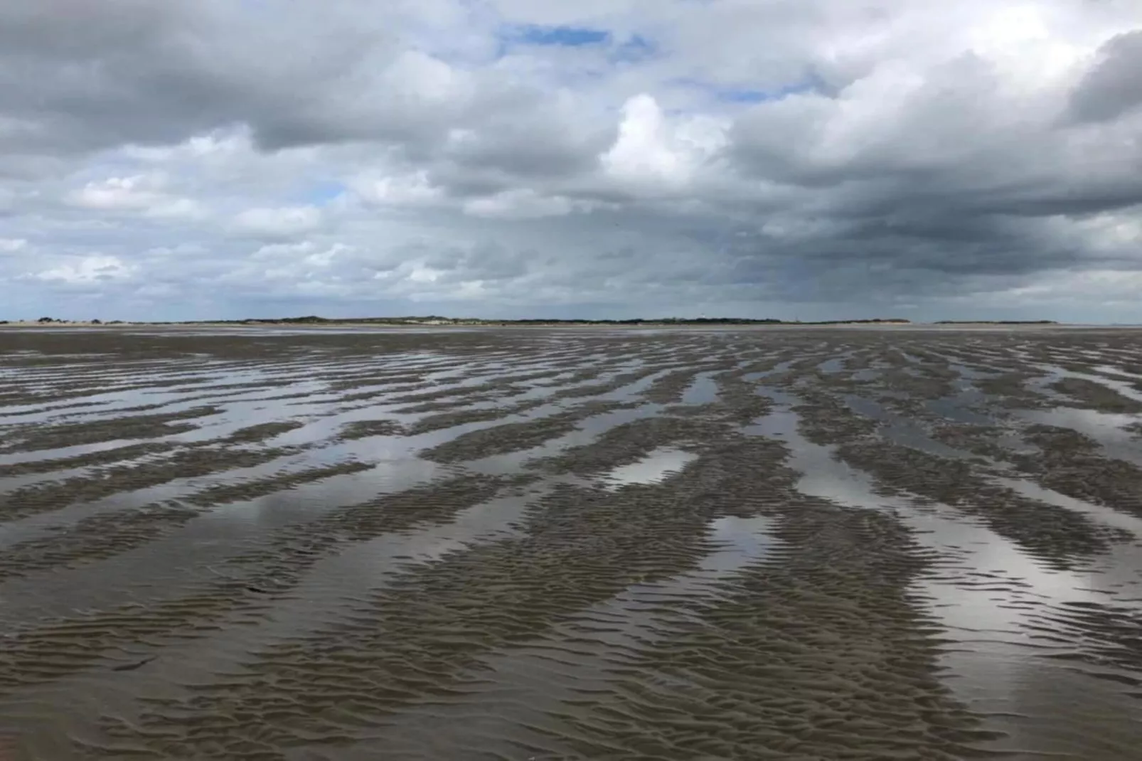 Duindroom op Terschelling-Areas within 20km in summer