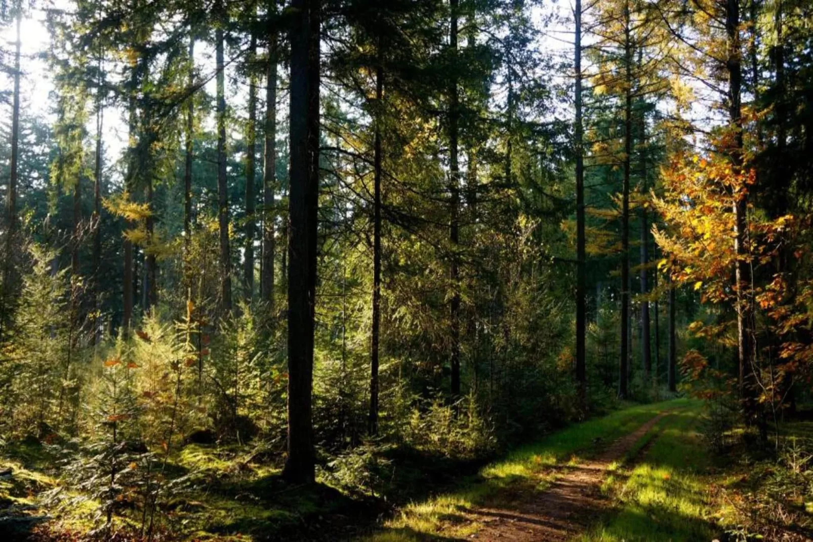 Ons Nestje-Zones été à 20 km