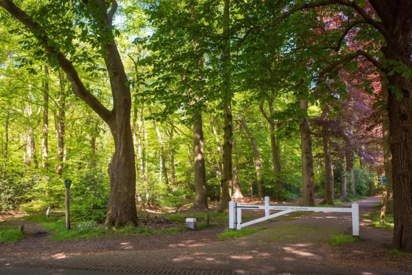 Kukeluusje-Gebiete Sommer 20 km