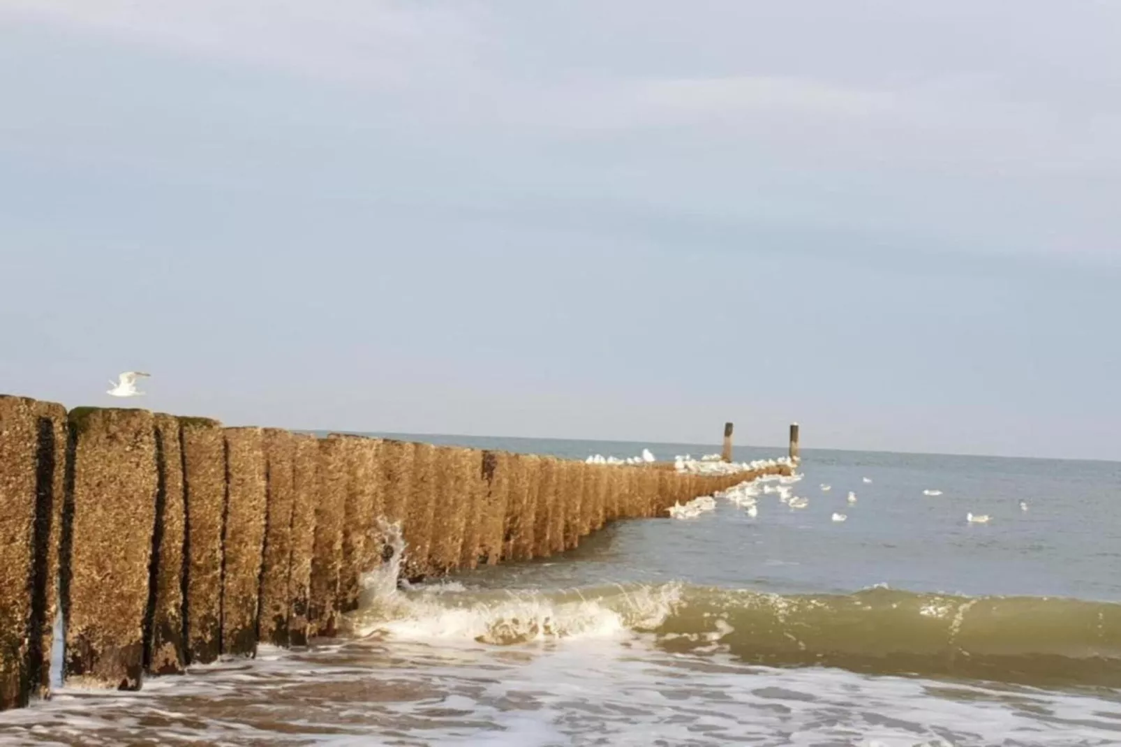 Ocean Dreams Oostkapelle Zeeland M55-Areas within 20km in summer