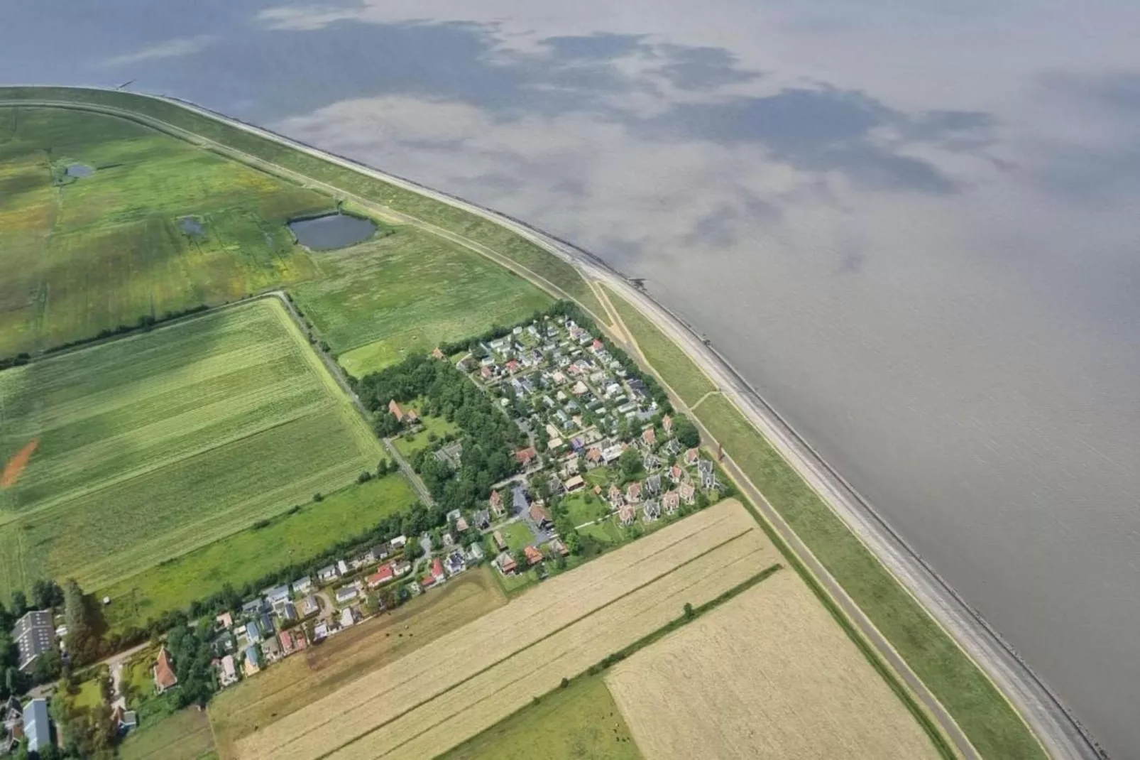 Recreatiepark Wiringherlant - Villa 15-Areas within 20km in summer