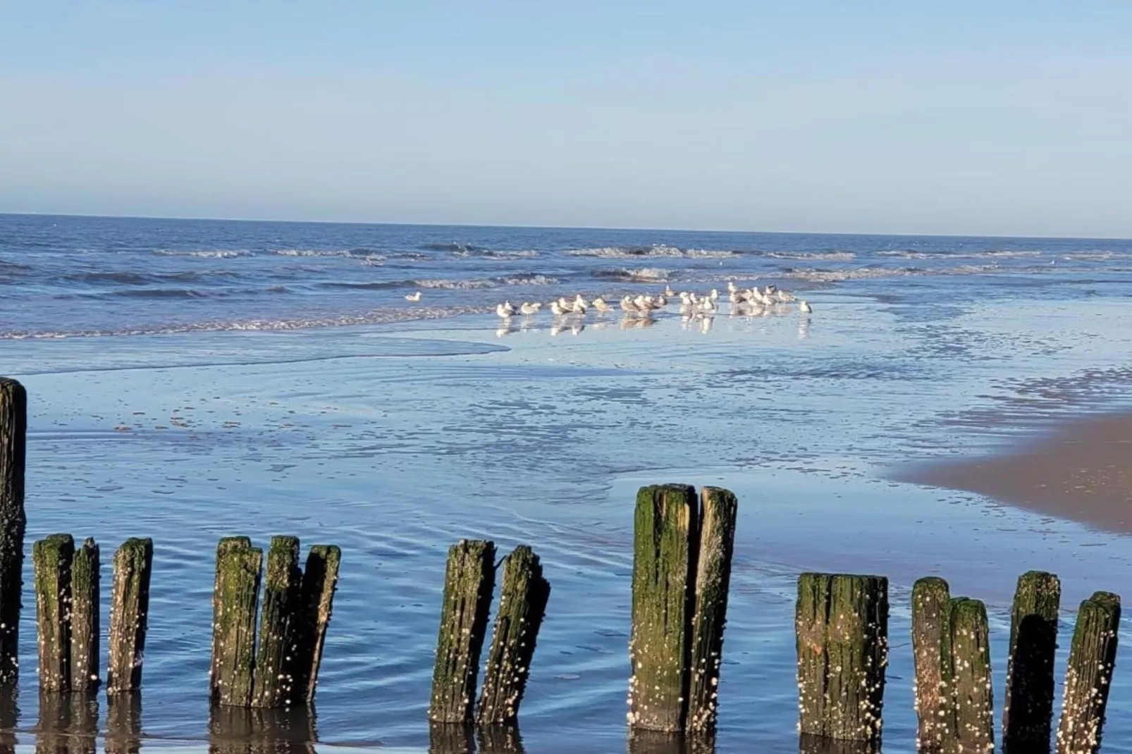 Huize Glory Robijn-Areas within 20km in summer