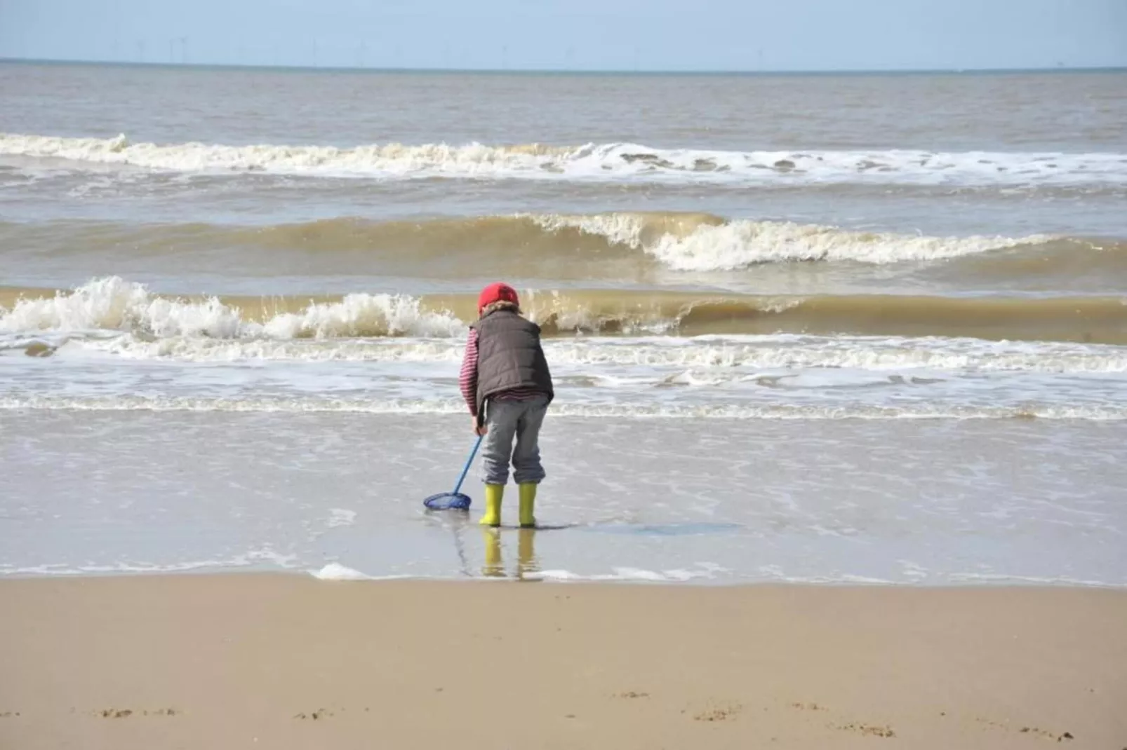 Kustpark Egmond aan Zee 4-Areas within 20km in summer