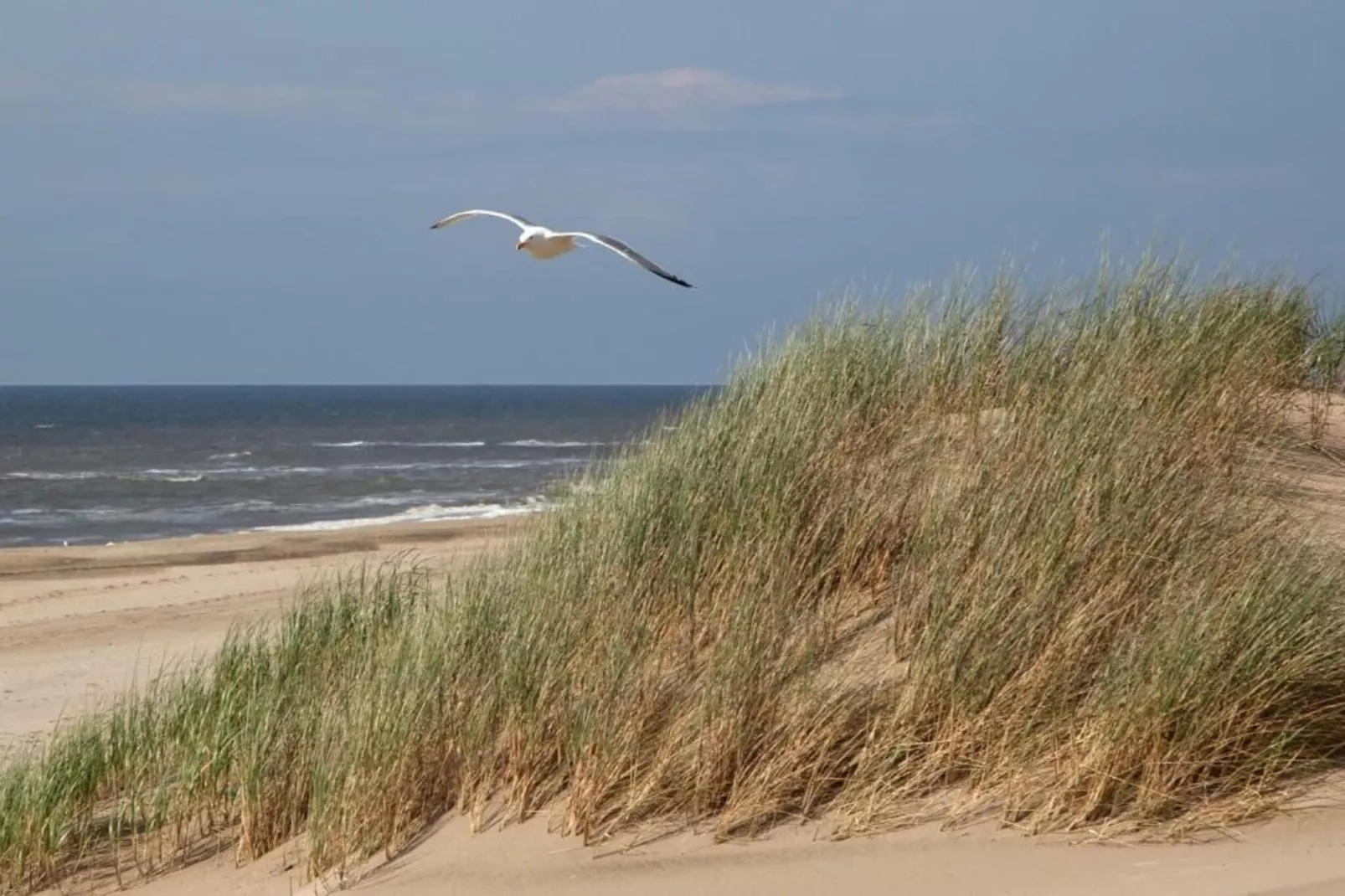 Bosch en Duyn-Areas summer 20km