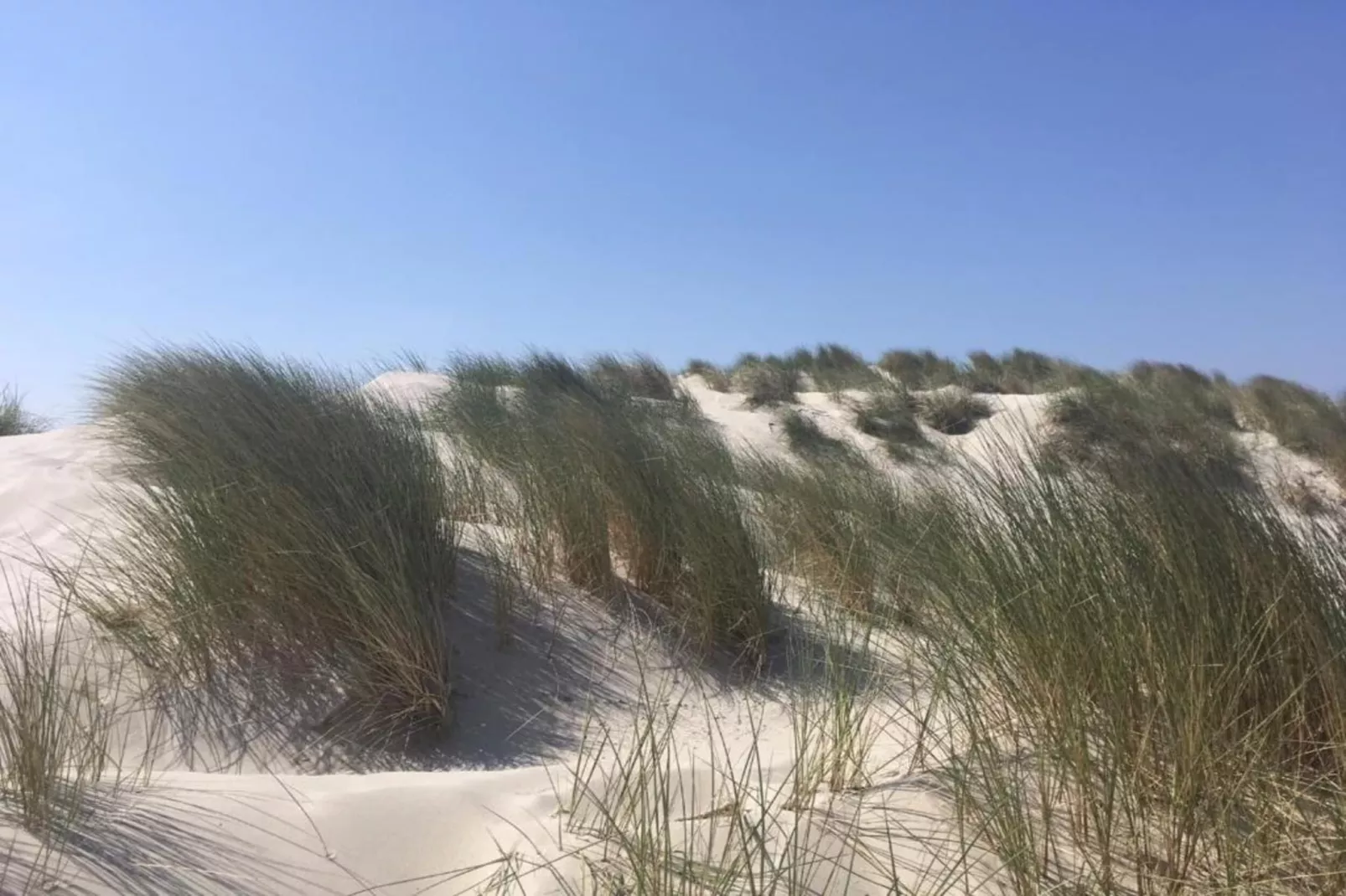 Anno 1711-Gebiete Sommer 20 km