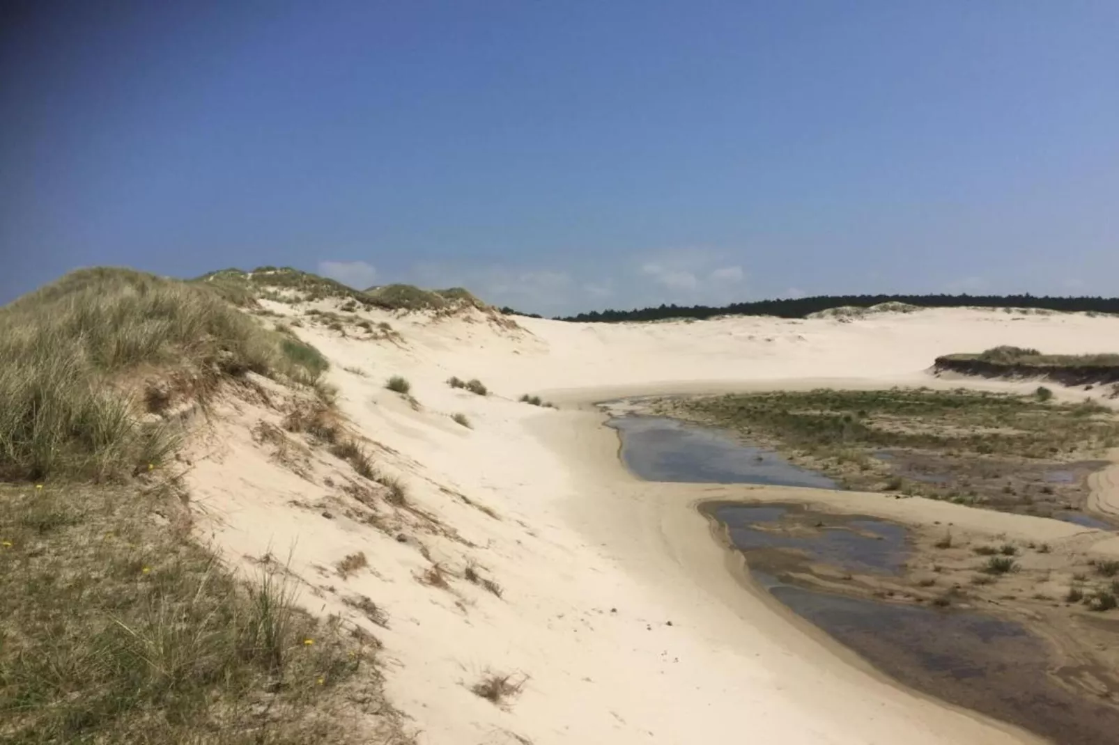 De Schone Leij-Zones été à 20 km