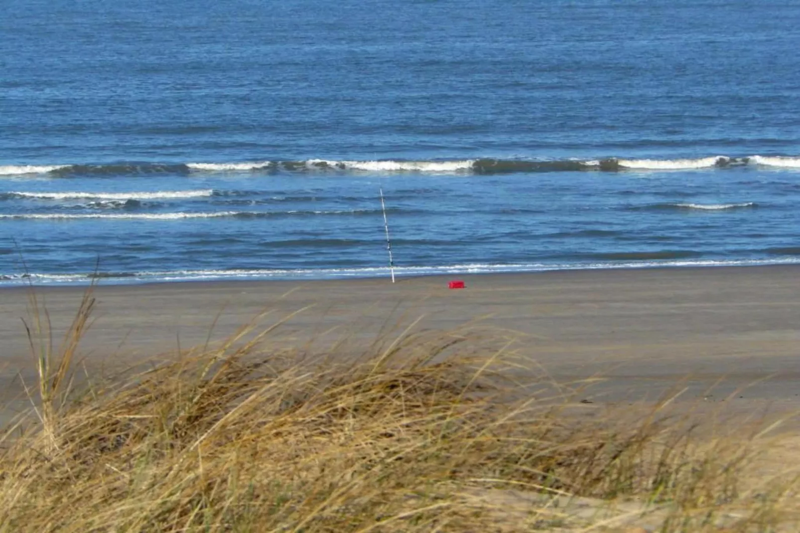 Vier Duinen-Areas within 20km in summer
