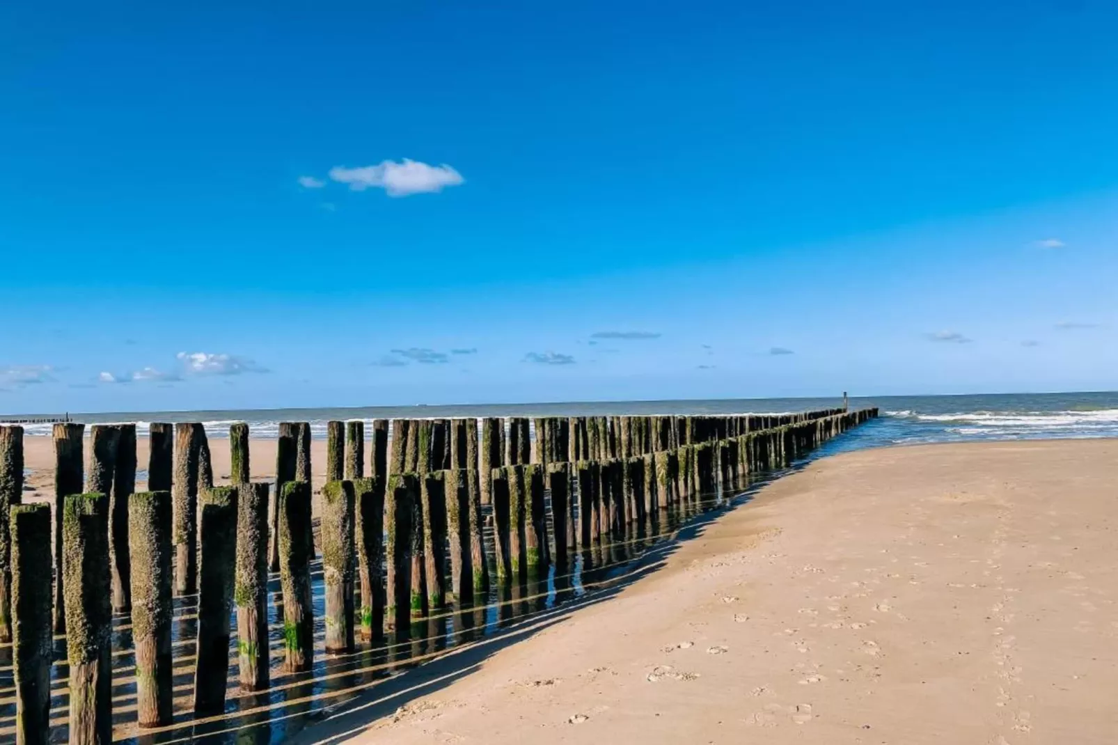 Buitenhof Domburg 1-Gebiete Sommer 20 km