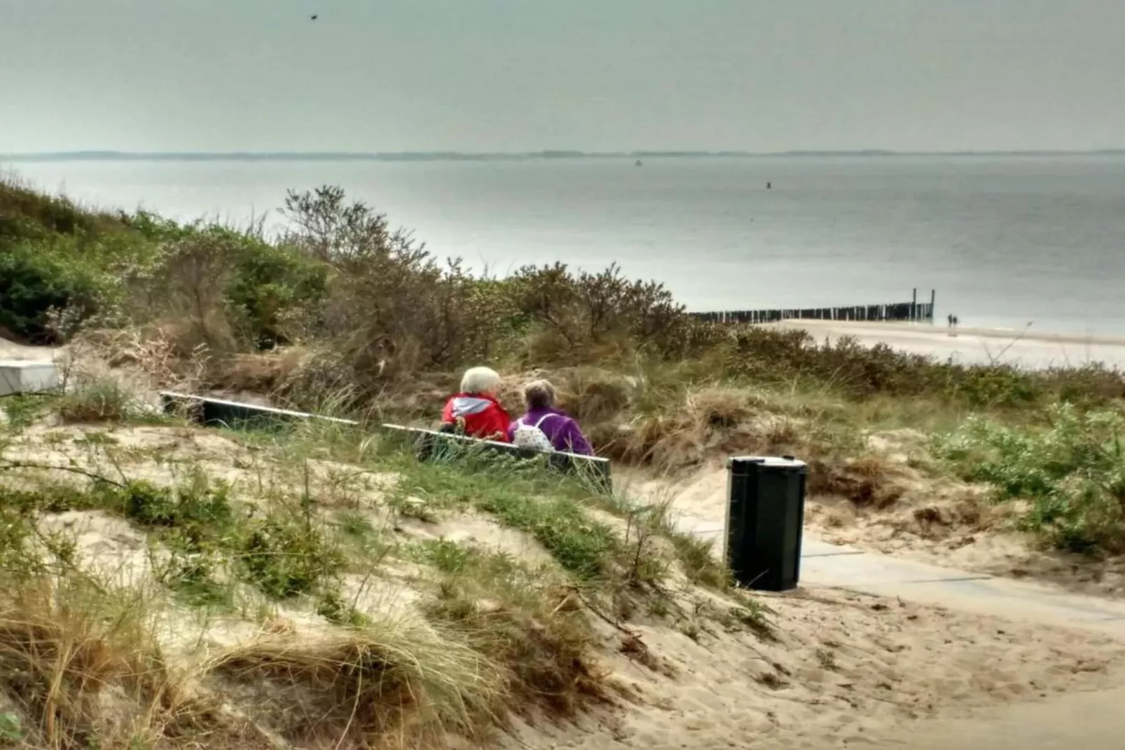 Noordzee Résidence Dishoek 3-Areas within 5km in summer