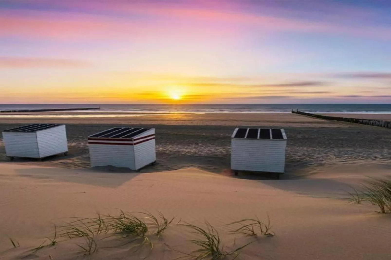 Vakantiepark Hof Domburg 26 - Areas within 20km in summer