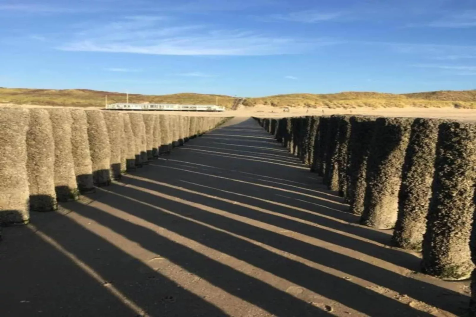 Noordzee Résidence Dishoek 11-Areas within 5km in summer