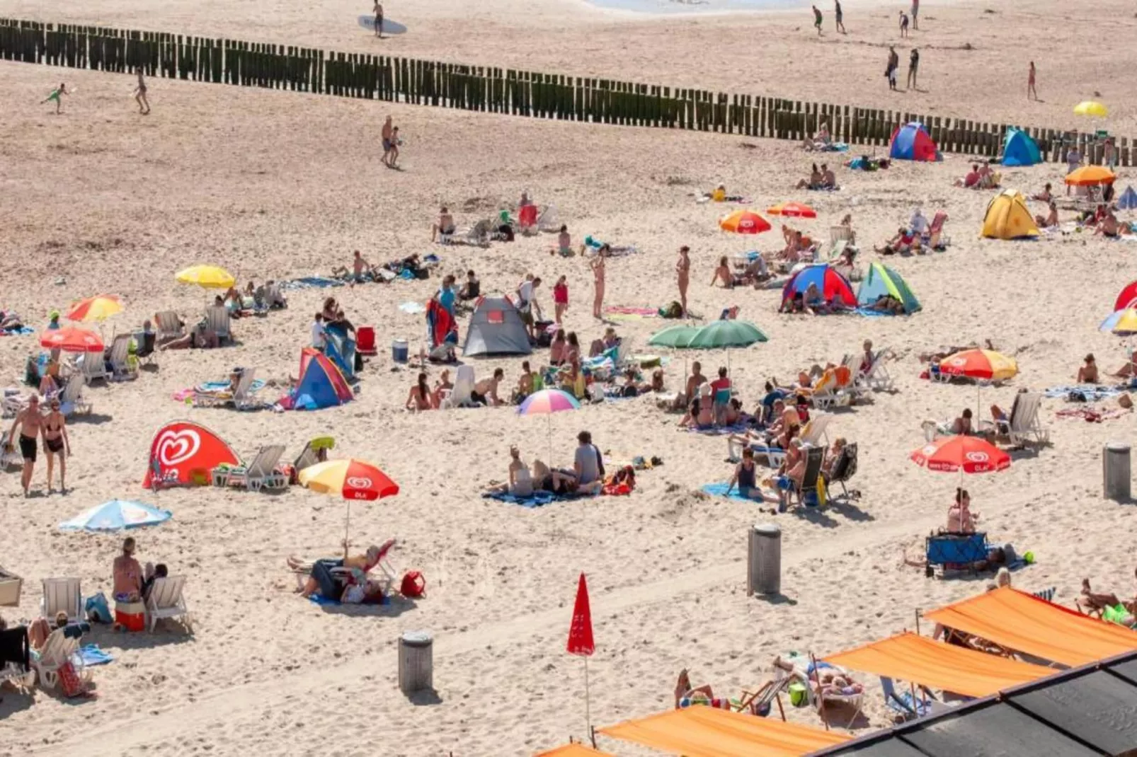 Appartement - Borné  Zoutelande-Areas within 1km in summer
