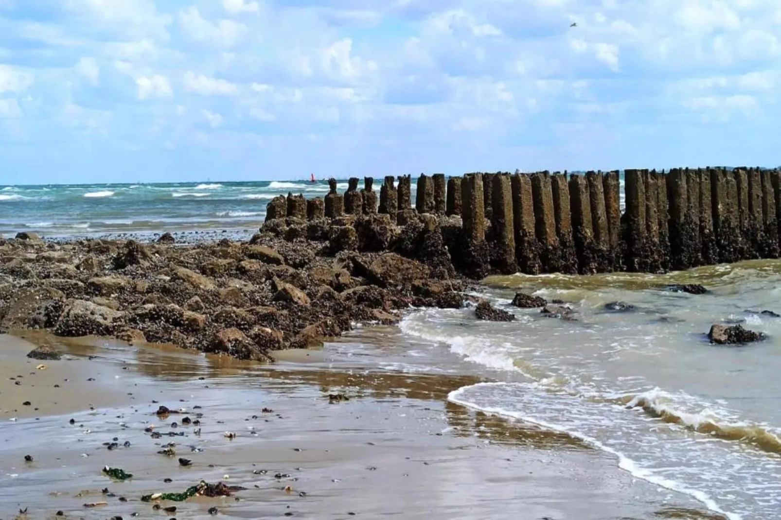 Noordzee Resort Vlissingen 2-Areas within 20km in summer