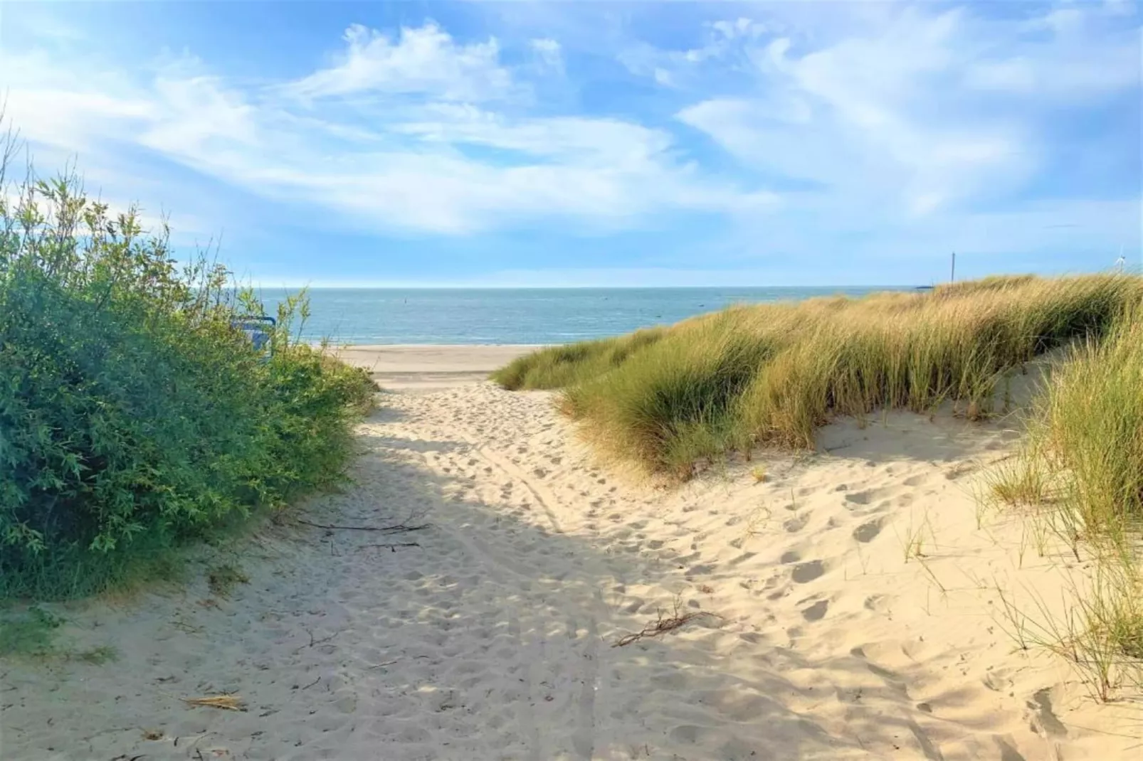 Noordzee Résidence De Banjaard 21 - Areas within 20km in summer