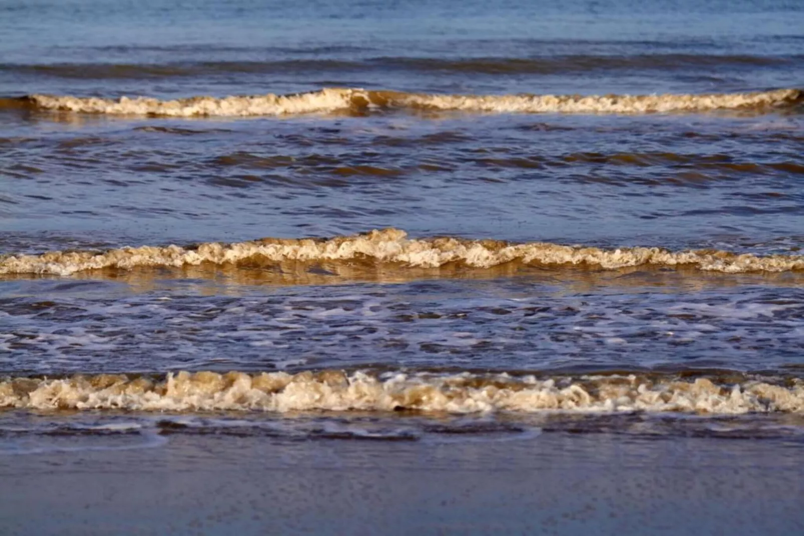 Beach Resort Nieuwvliet-Bad 16-Gebiete Sommer 20 km