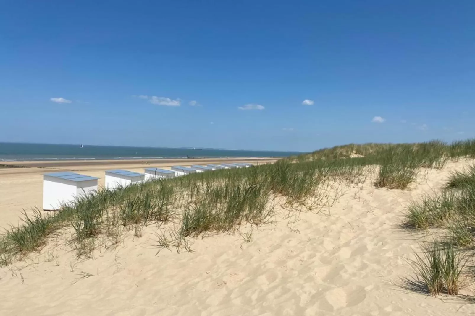 Groot Hof ter Zand-Areas within 20km in summer