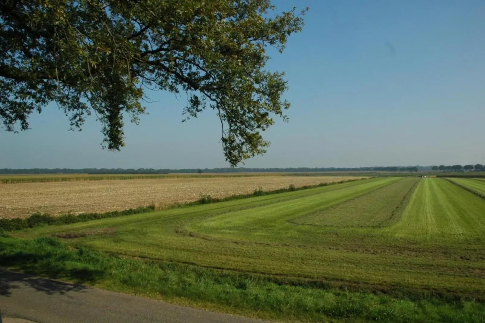 Ruischende Dennen-Zones été à 20 km