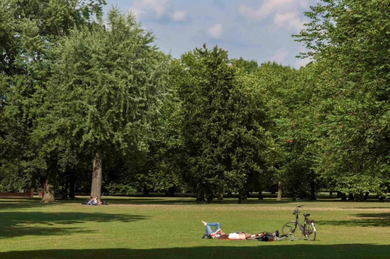 NR 3-Areas within 20km in summer