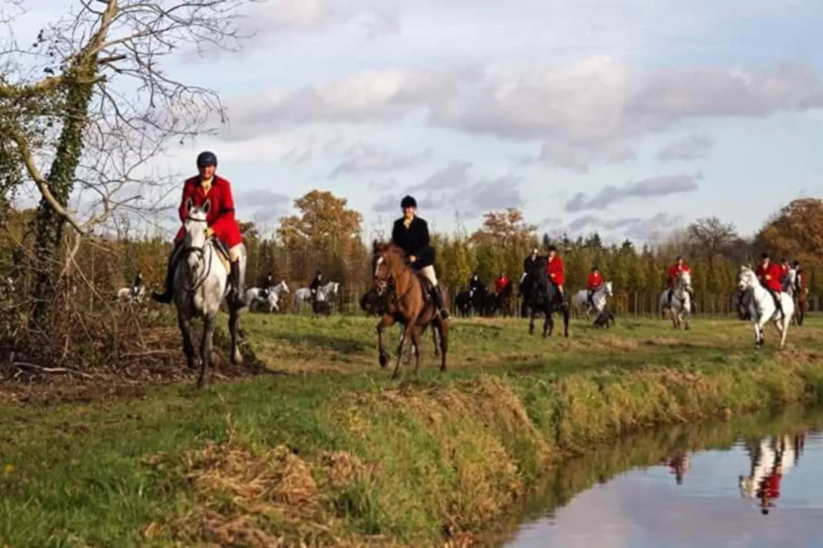 Recreatiepark Duinhoeve 11-Areas within 20km in summer