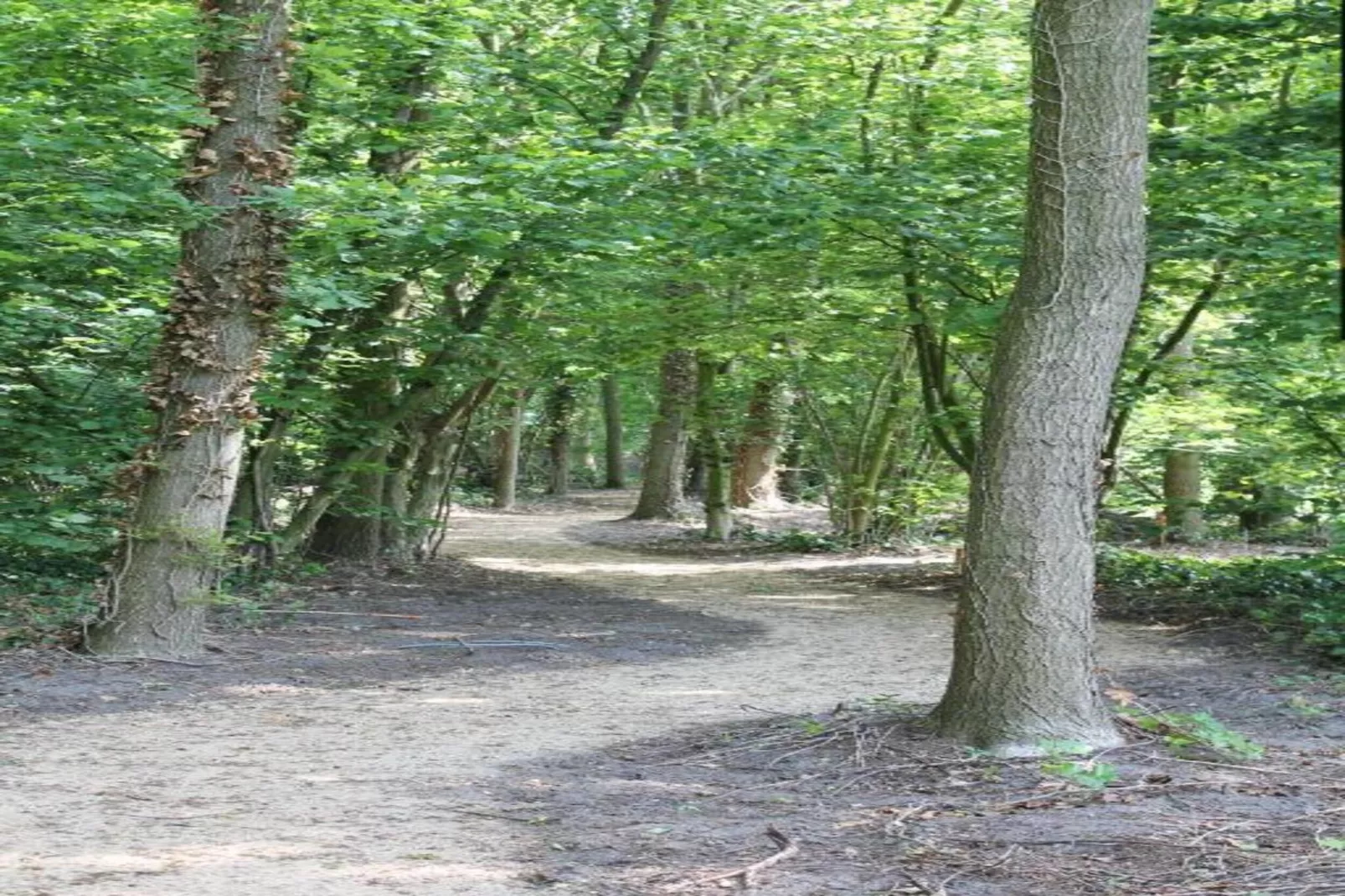 Parc de Kievit 1 - Gebiete Sommer 20 km