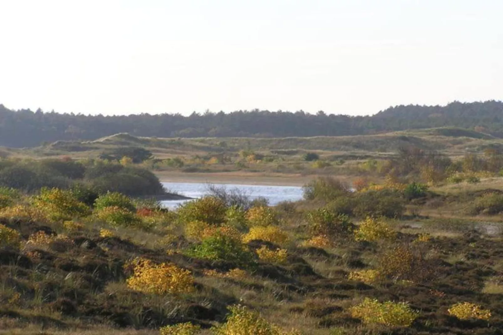 Anna's Place-Areas within 20km in summer