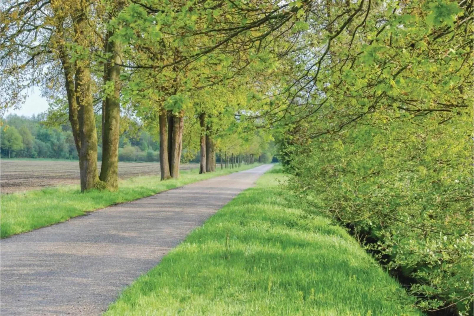 Dorpswoning In het Bos-Areas within 5km in summer