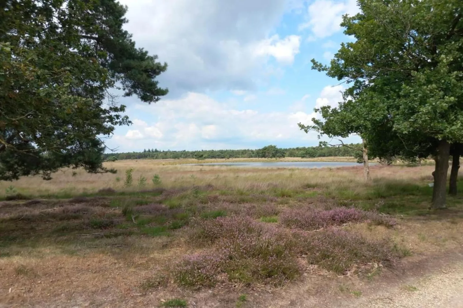 Park De Peel 1-Areas within 20km in summer