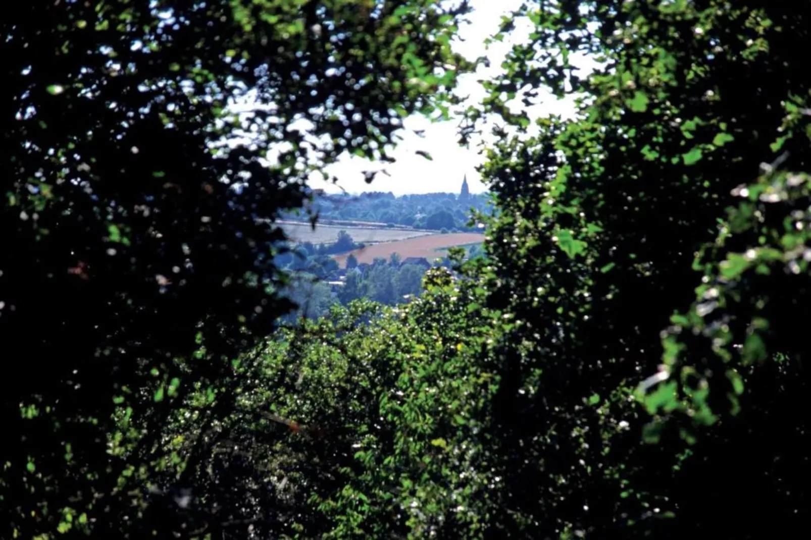 Résidence Klein Vink 1 - Areas within 20km in summer
