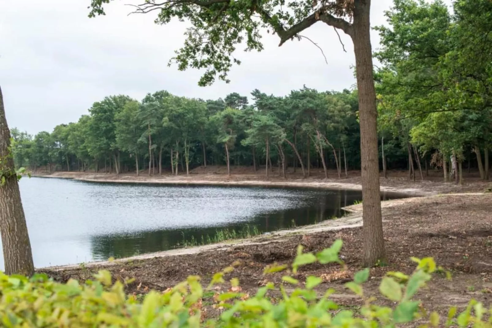 Maaspark Boschmolenplas - Vennenblik-Areas within 20km in summer