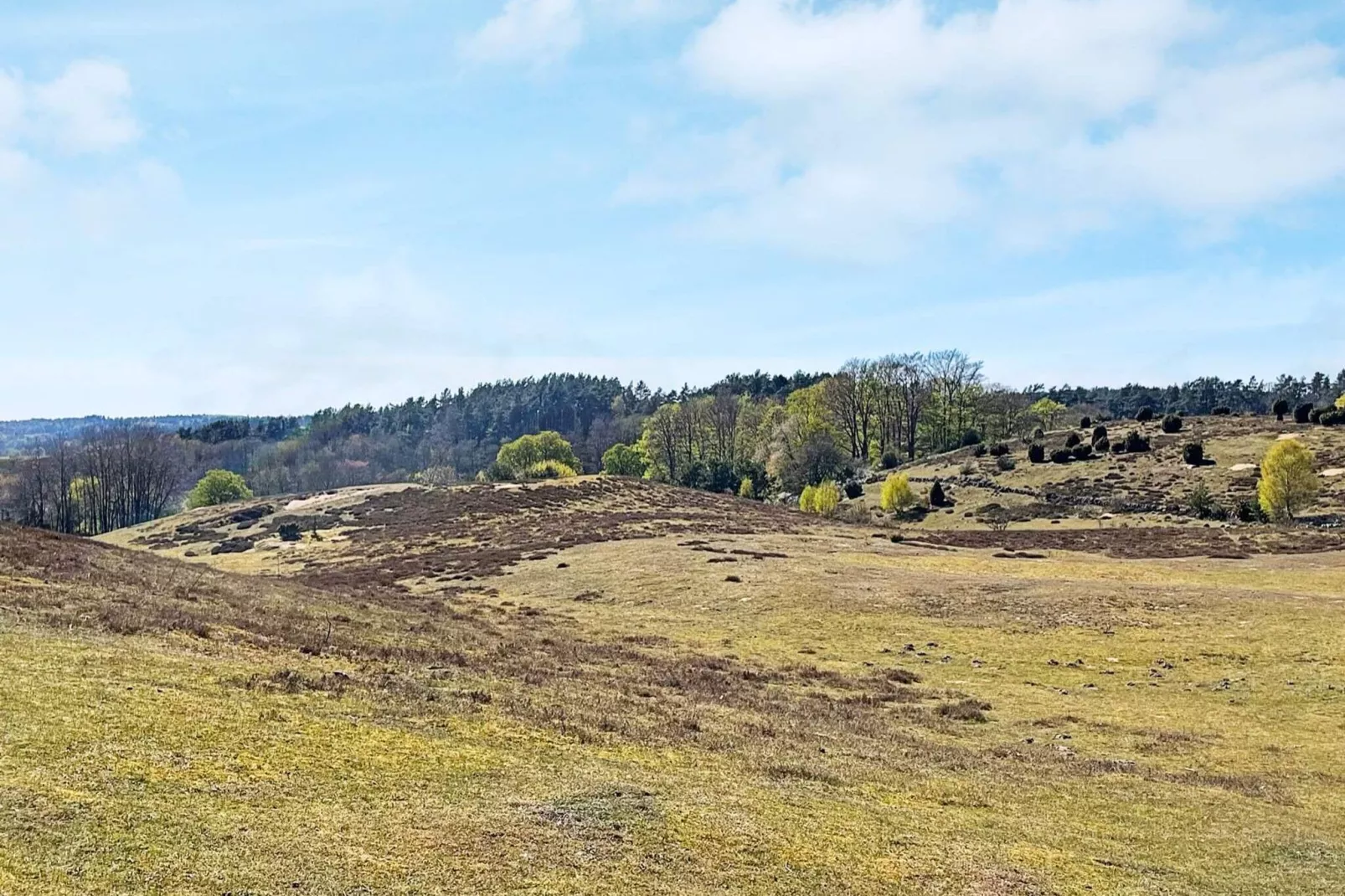 5 person holiday home in Brösarp-By Traum-Not tagged