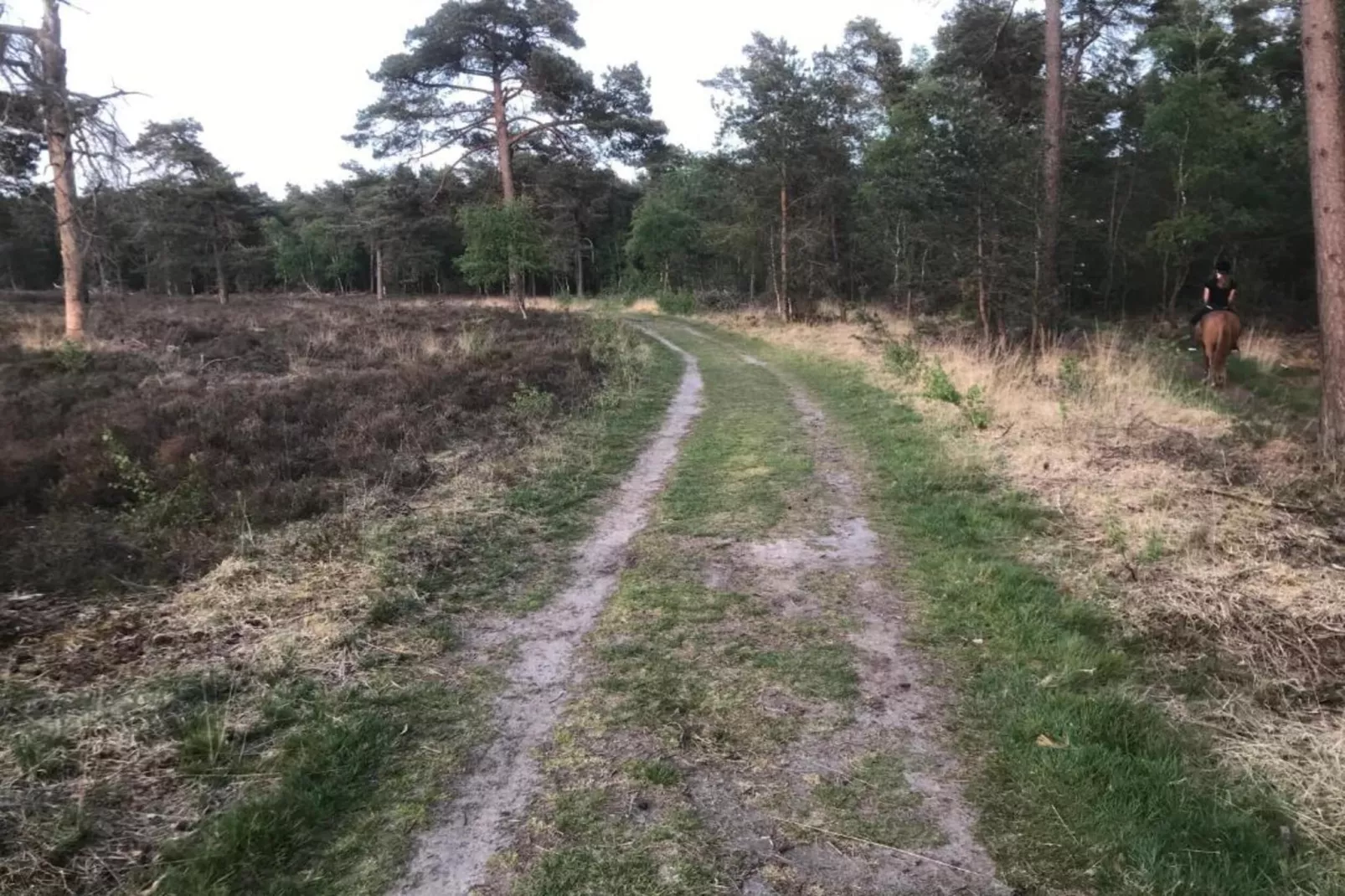 Recreatiebospark de Reehorst 1-Areas within 20km in summer