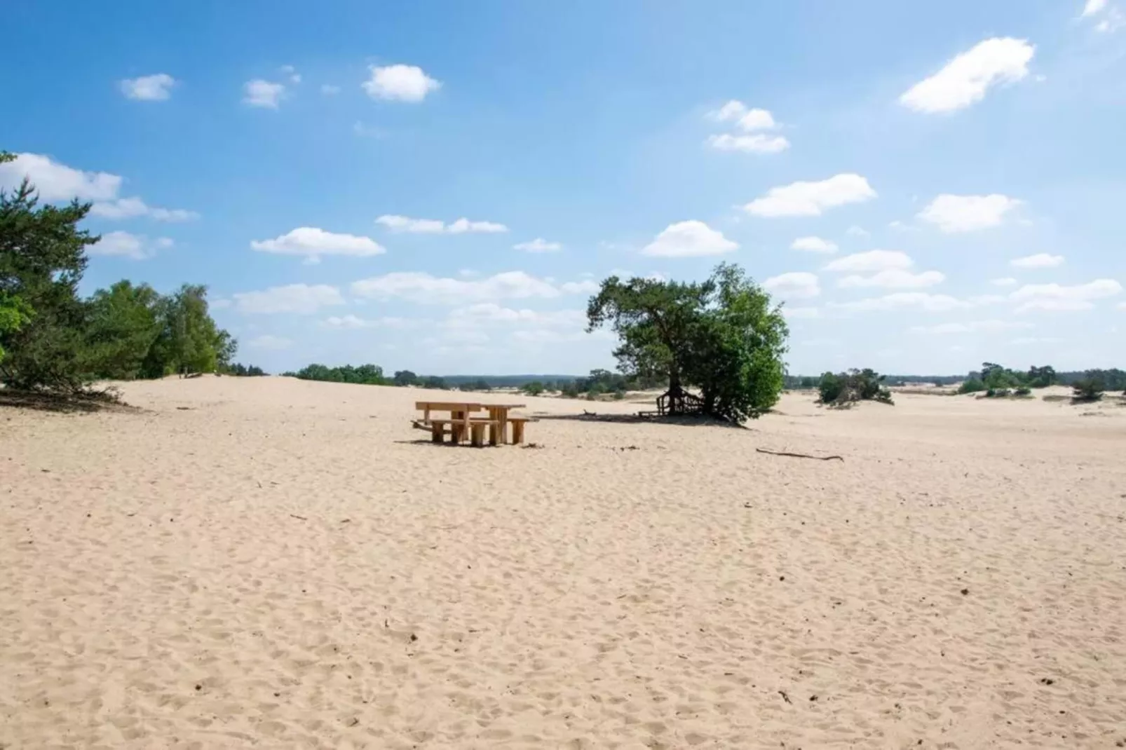 Bungalowpark Hoenderloo 3-Areas within 20km in summer