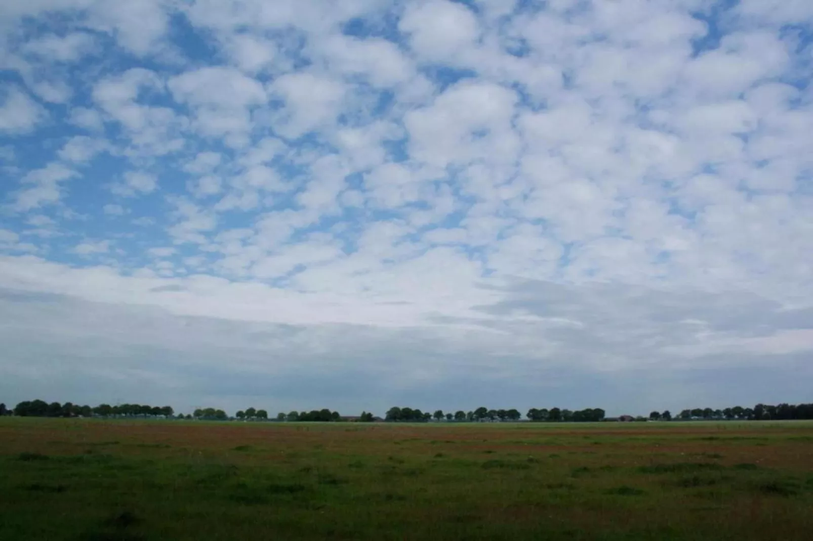 Hof van Salland 1-Areas within 5km in summer